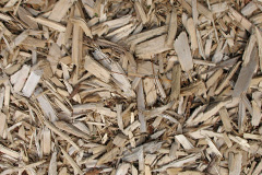 biomass boilers Skinnerton